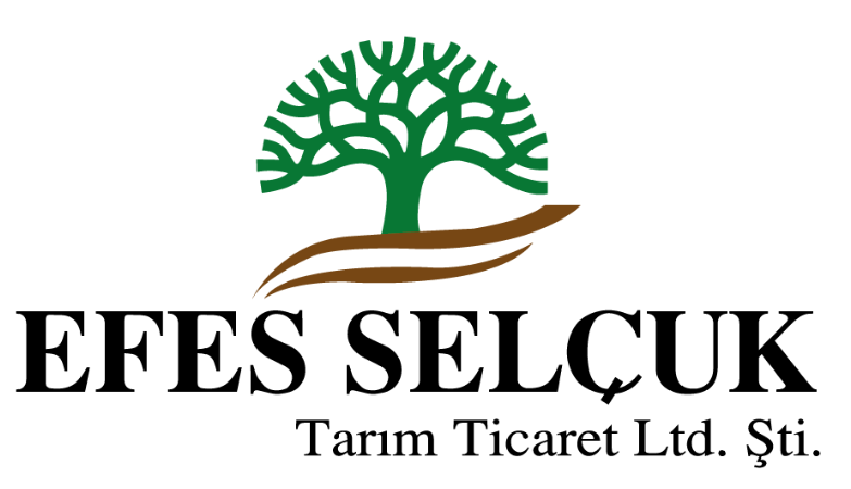 Selçuk Tarım