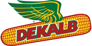 Dekalb